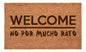 Choapino Welcome 40x60